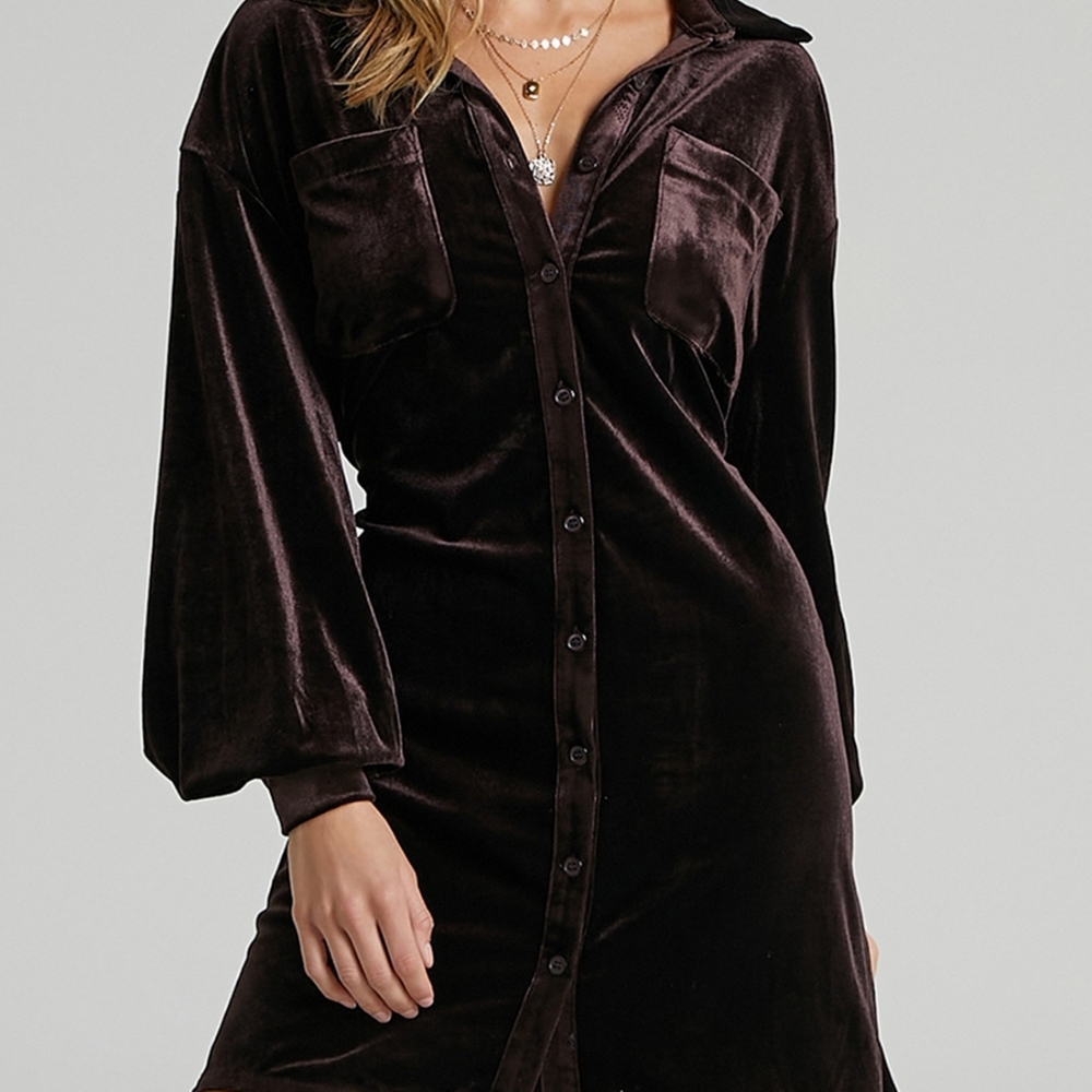 Velvet Button-Down Dress in Brown - Picture 5 of 7